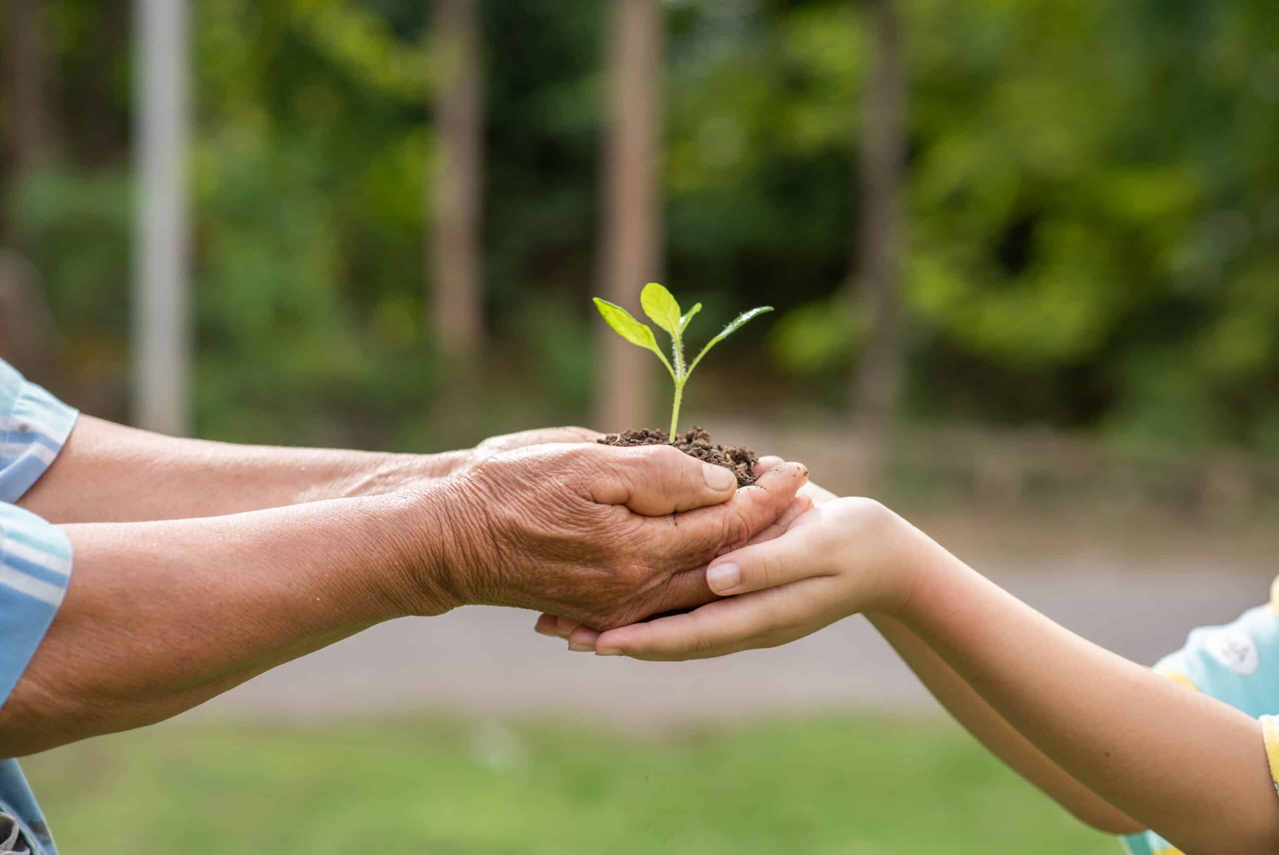 Día Mundial del Medio Ambiente: entre la conciencia y la acción, el desafío pendiente de los argentinos