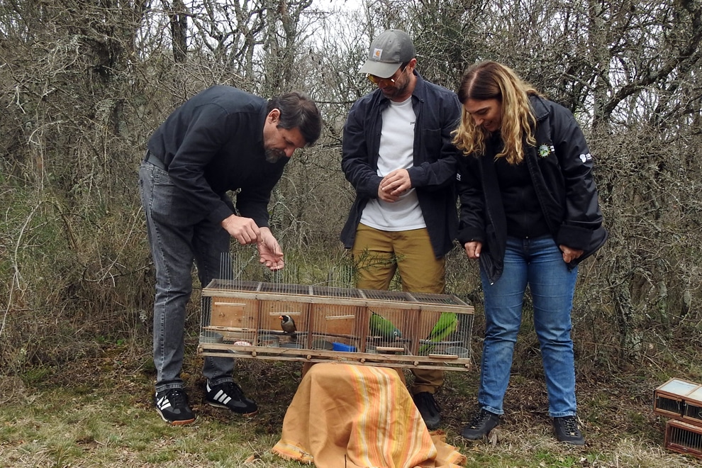 Córdoba: La Policía Ambiental liberó 26 aves silvestres en una reserva natural de Cosquín