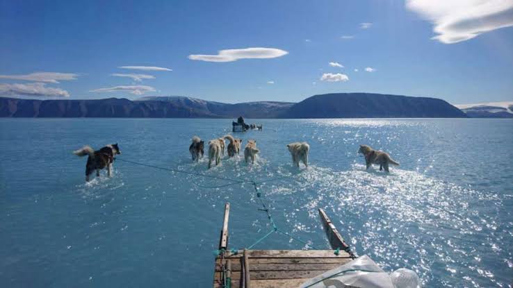 Groenlandia pierde más de 270.000 millones de toneladas de hielo por año